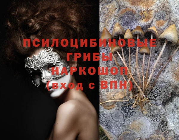 прущая мука Горно-Алтайск