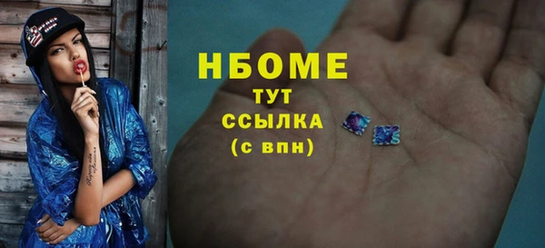 сатива Горняк