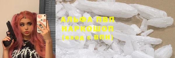 сатива Горняк