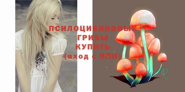 ALPHA-PVP Горнозаводск