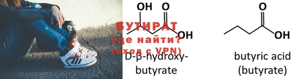 сатива Горняк