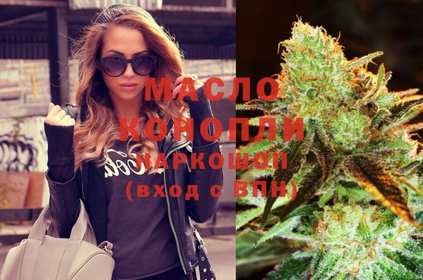 сатива Горняк
