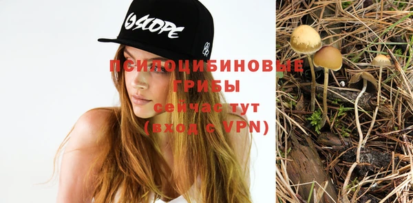 прущая мука Горно-Алтайск