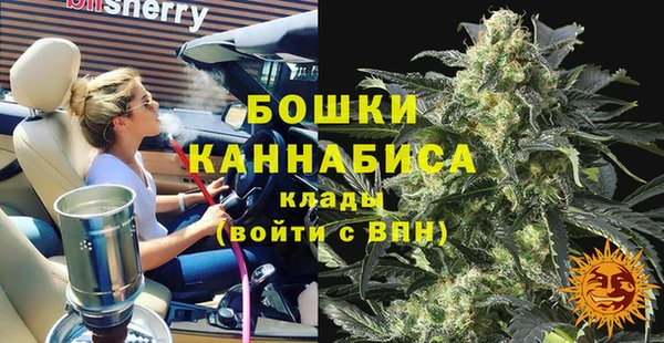 сатива Горняк