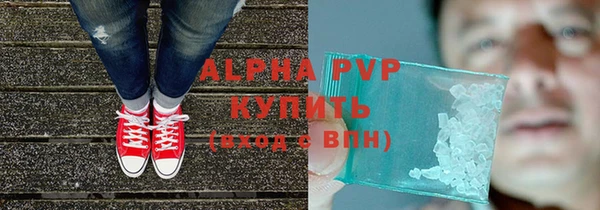 сатива Горняк