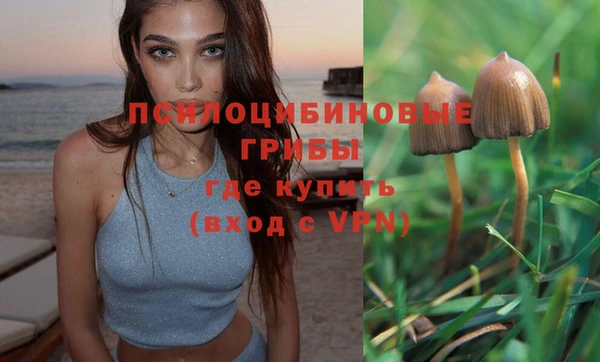прущая мука Горно-Алтайск