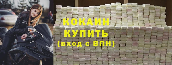 сатива Горняк