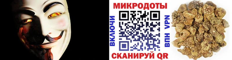 МЕГА вход  Ачинск  Псилоцибиновые грибы мицелий 